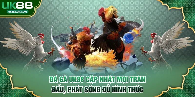 Đá gà UK88 cập nhật mọi trận đấu, phát sóng mọi hình thức