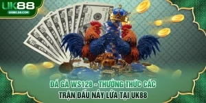 đá gà WS128